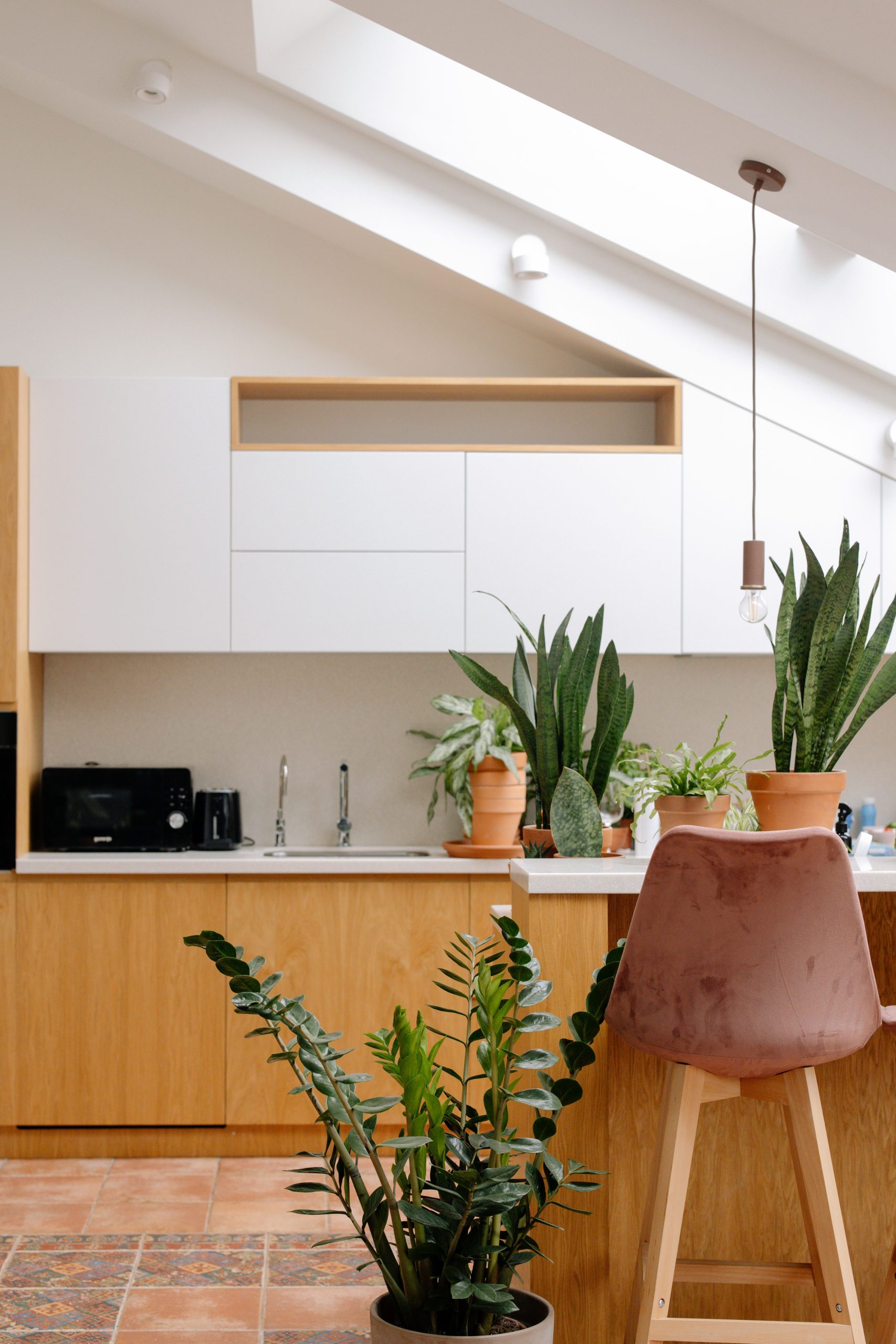 Bright modern kitchen featuring indoor plants and wooden cabinetry under skylights.